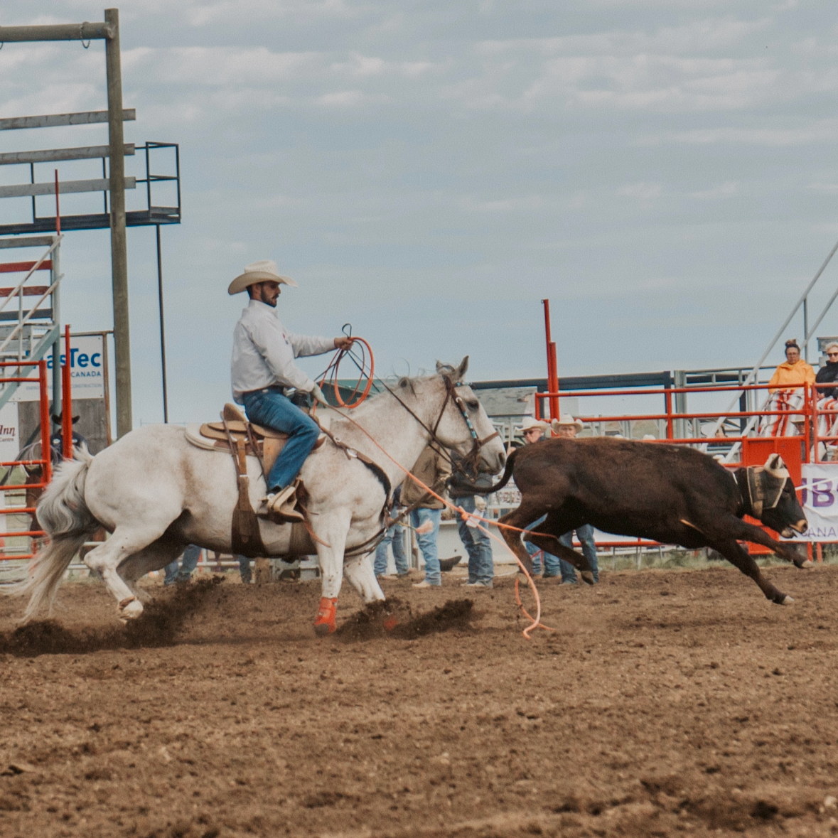Cowboi Cole Brooks Pro Rodeo