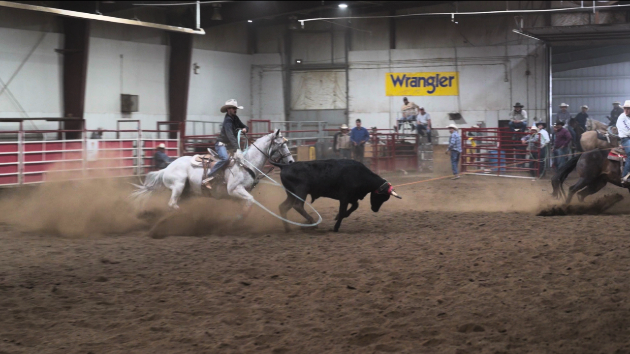 Load video: COWBOI COLE RODEO AVENTURES TAKES THEM TO THE BLOOD TRIBE AG SOCIETY RODEO